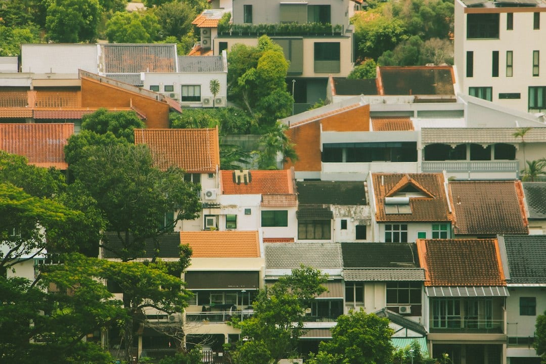 Lush residential street in Bukit Timah neighbourhood