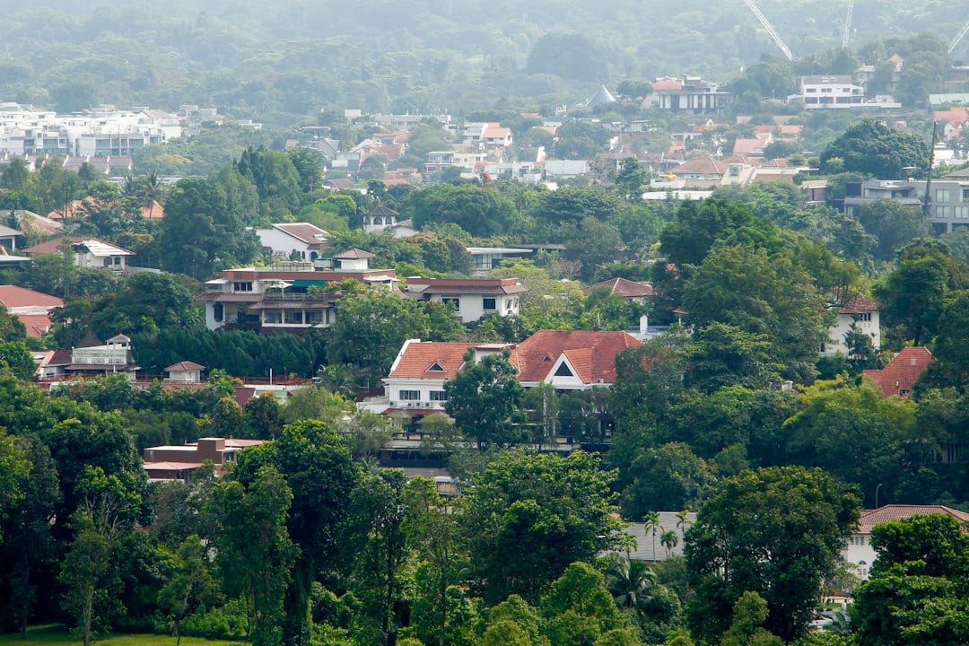 Tree-lined residential street in Bukit Timah, Singapore