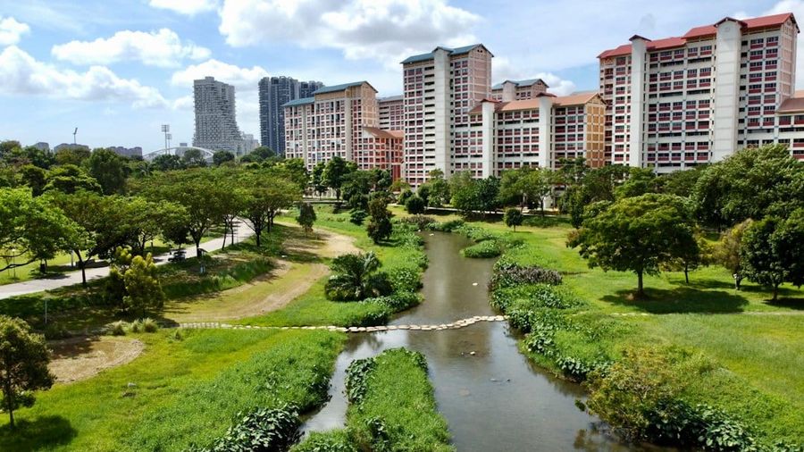 River running through a lush green park next to tall buildings