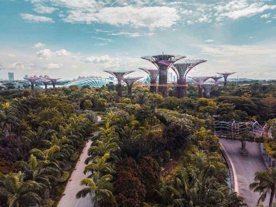 Park and green space near the city