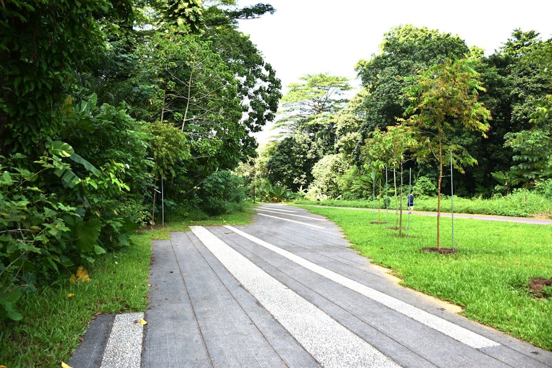 Quiet hillside road in the Hillcrest area, Singapore