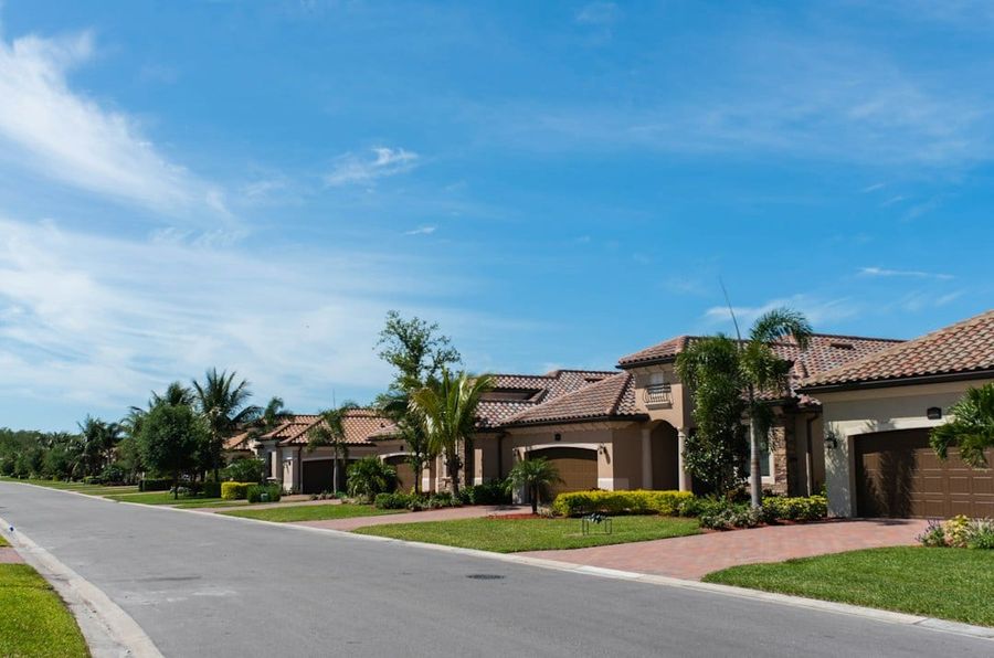 Quiet suburban street lined with houses and palm trees