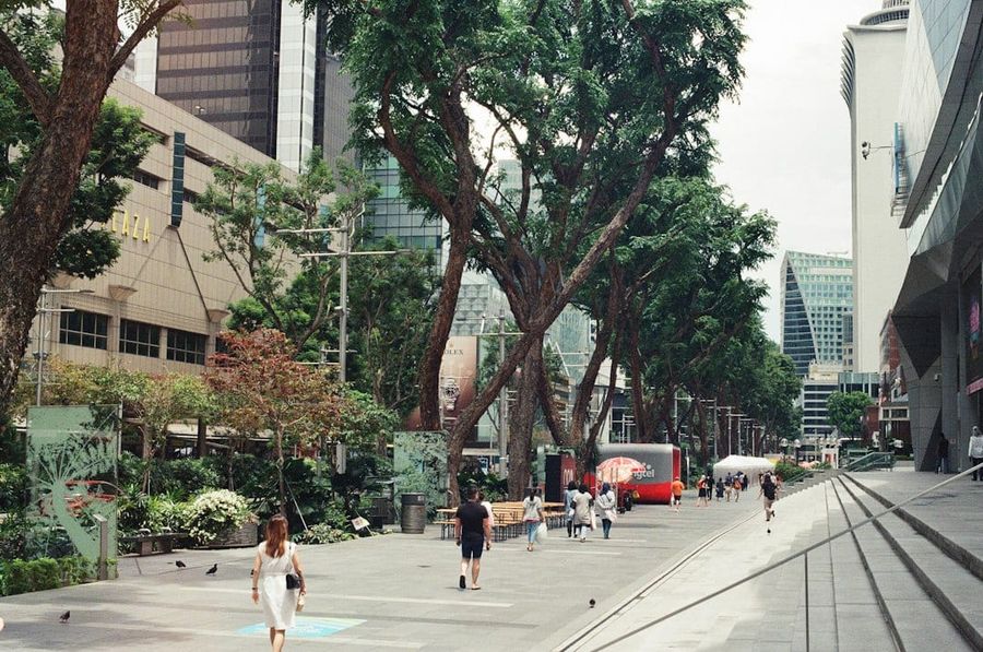 People walking on a sidewalk near green trees and buildings