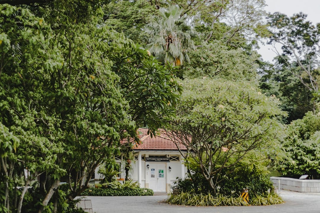 Luxury landed home surrounded by mature greenery