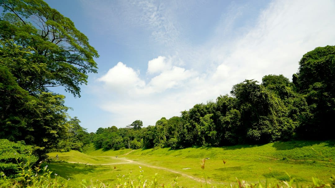 Green open space near Greenmead