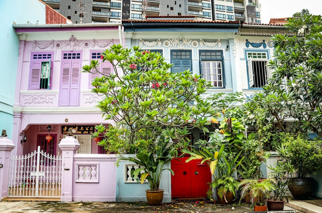 Terrace house in a landed neighbourhood