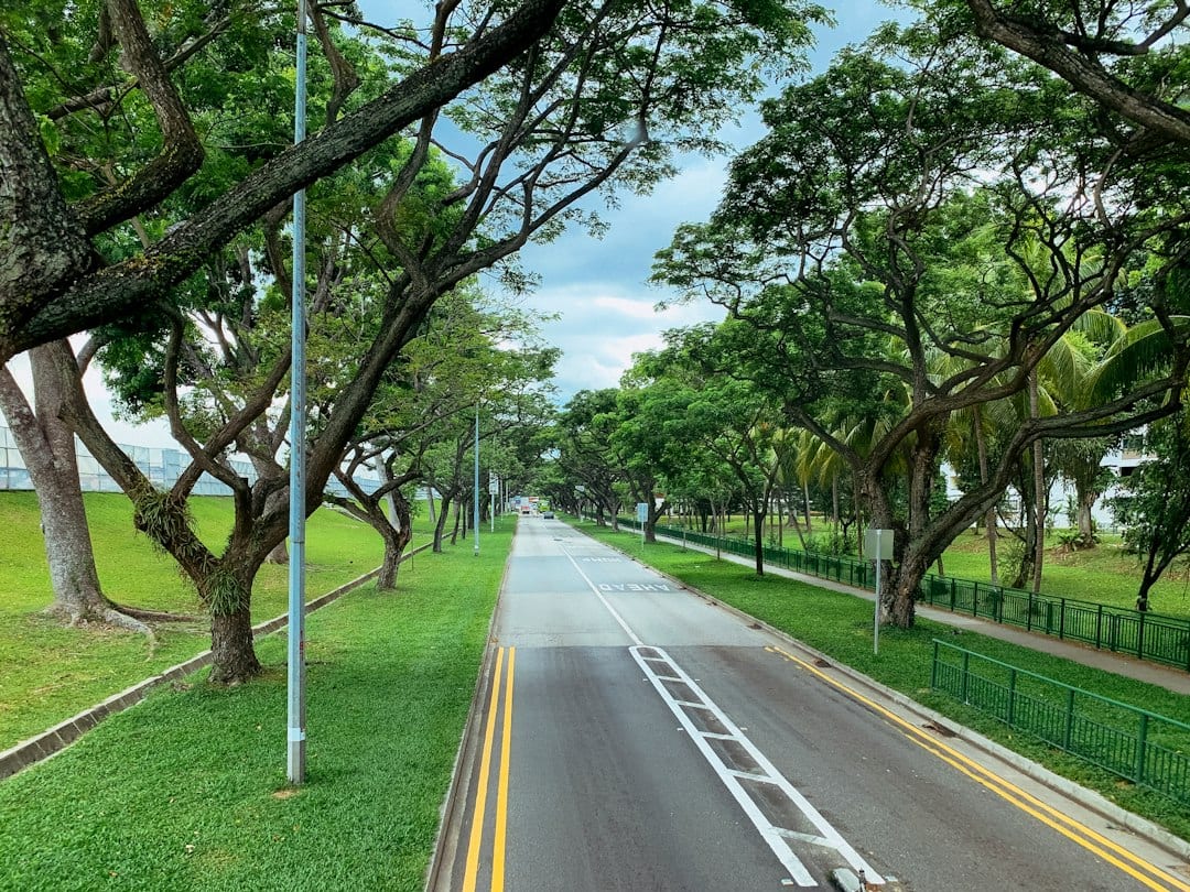 Tree-lined landed residential street in Bukit Timah