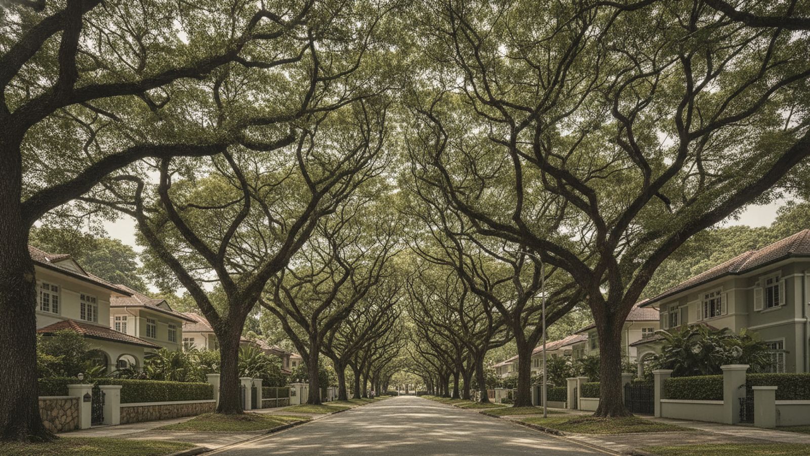 Tree-lined green corridor along Greenwood Avenue, Singapore